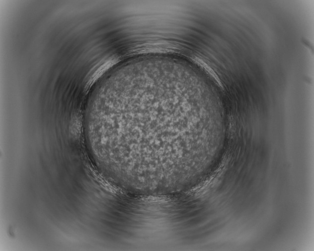 X0000096630874200802191154