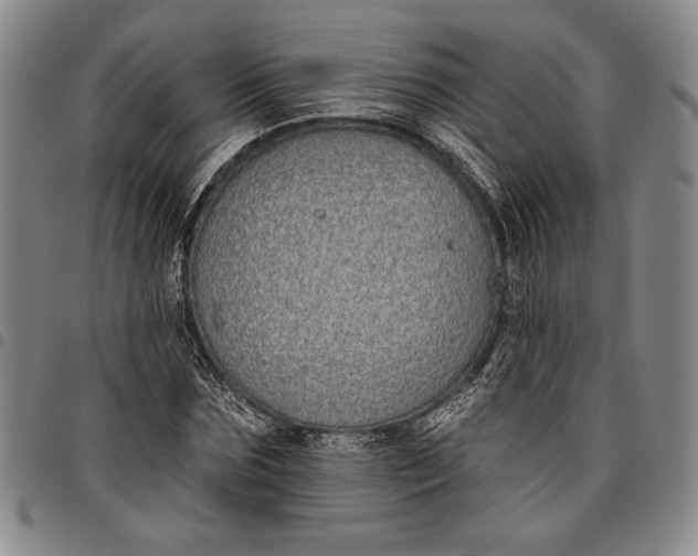 X0000096630875200802191154
