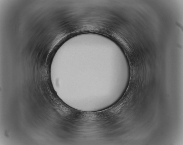 X0000096630878200802191154