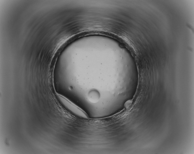 X0000096630879200802191154