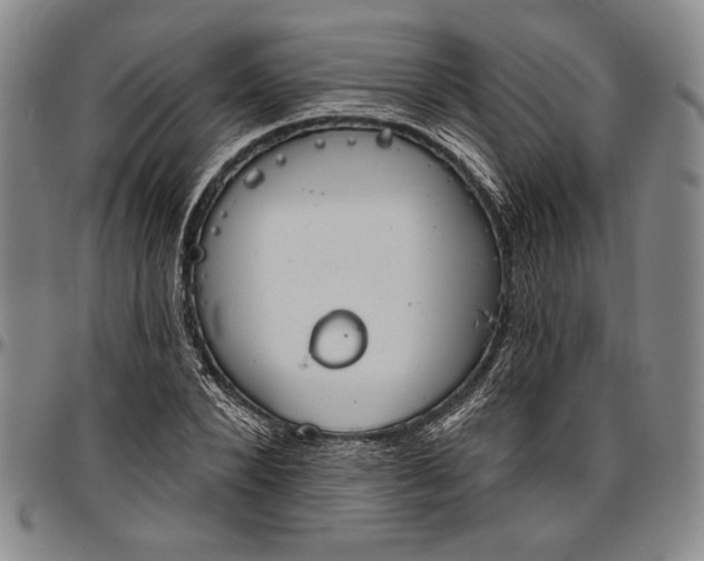X0000096630880200802191154
