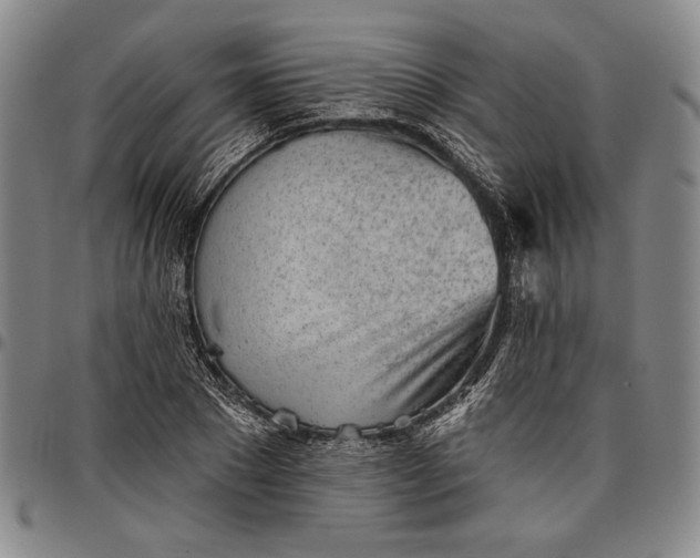 X0000096630881200802191154
