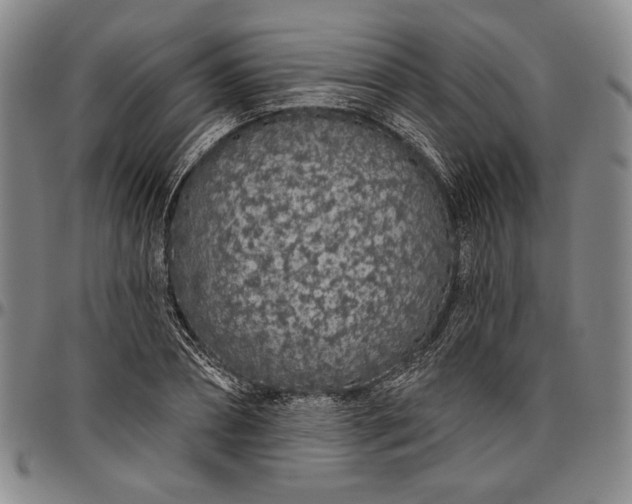 X0000096630882200802191154