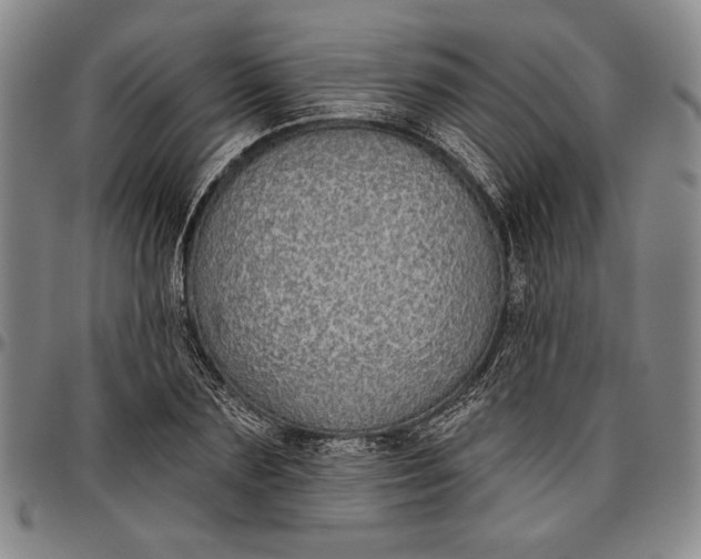 X0000096630883200802191154