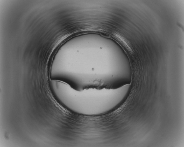 X0000096630884200802191154