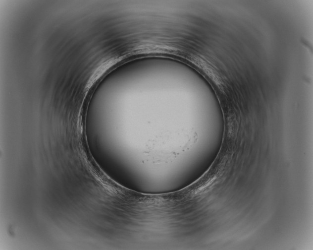 X0000096630885200802191154