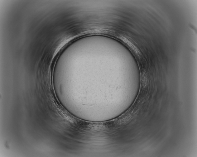 X0000096630886200802191154