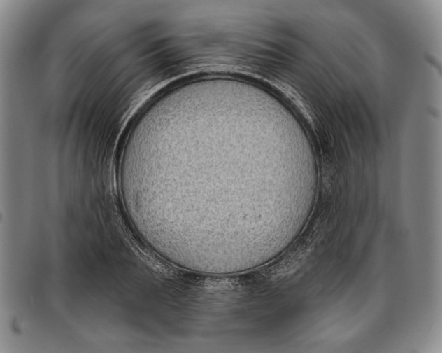 X0000096630887200802191154