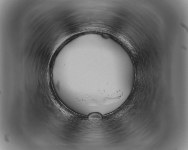 X0000096630888200802191154