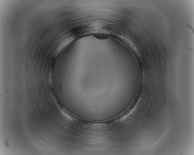 X0000096630889200802191154