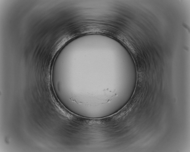 X0000096630890200802191154