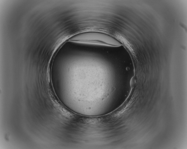 X0000096630892200802191154