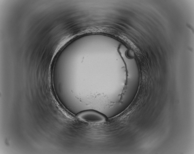X0000096630894200802191154