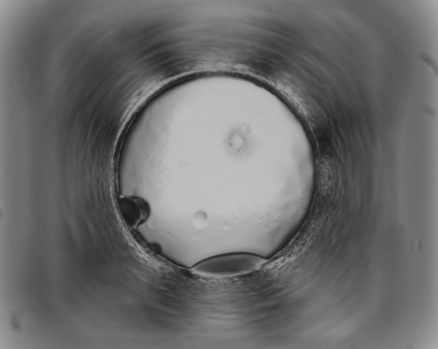 X0000096630895200802191153