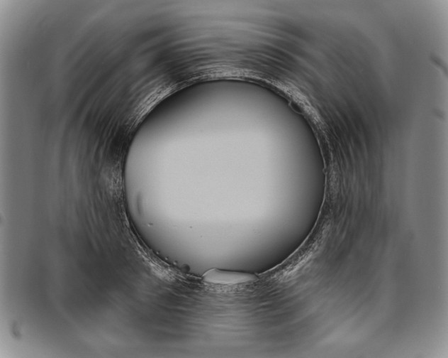 X0000096630897200802191153