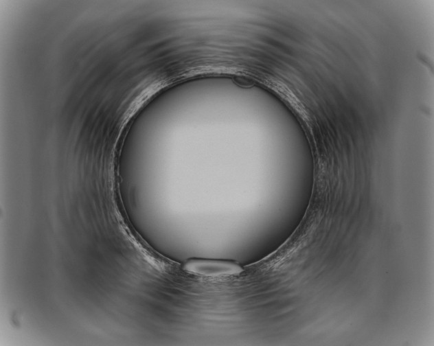 X0000096630898200802191153