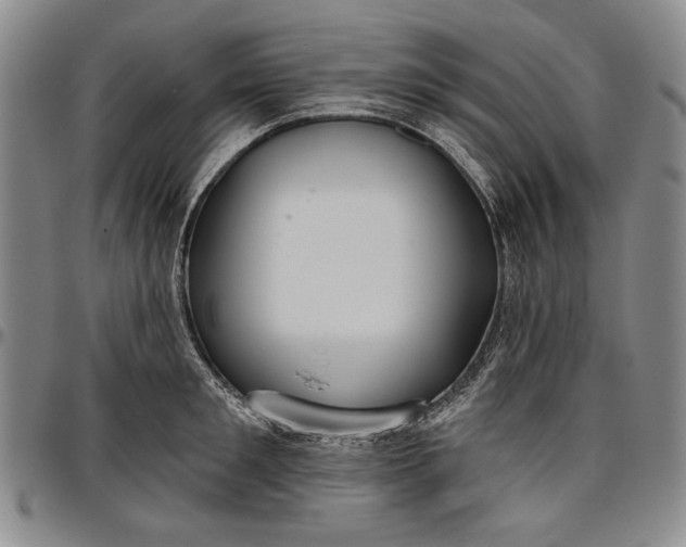 X0000096630901200802191153