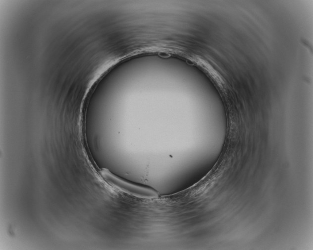 X0000096630902200802191153