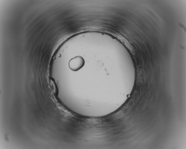 X0000096630904200802191153