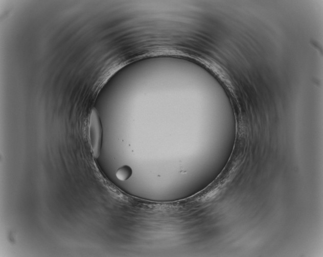 X0000096630905200802191153
