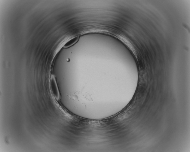 X0000096630906200802191153