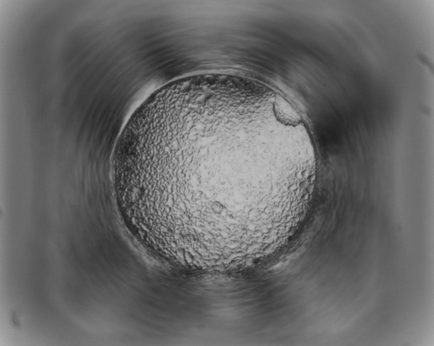 X0000096630907200802191153