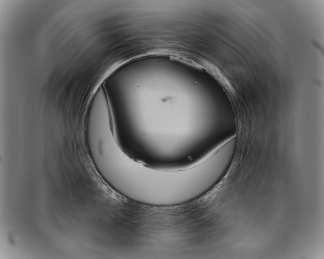 X0000096630908200802191153