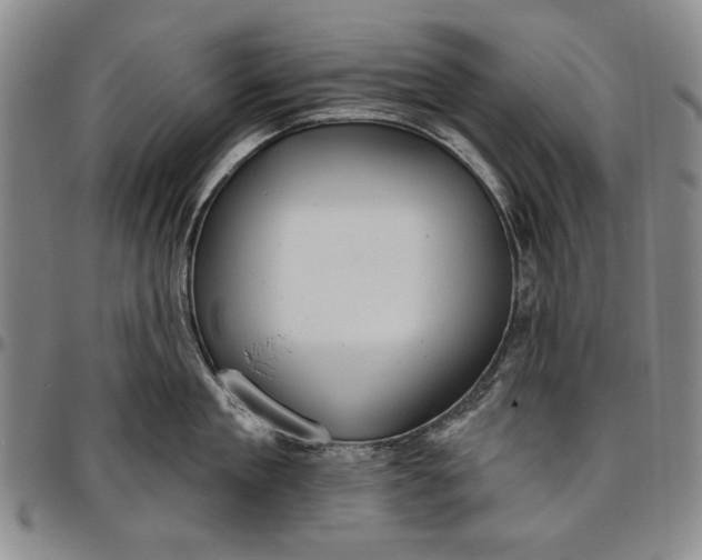 X0000096630909200802191153