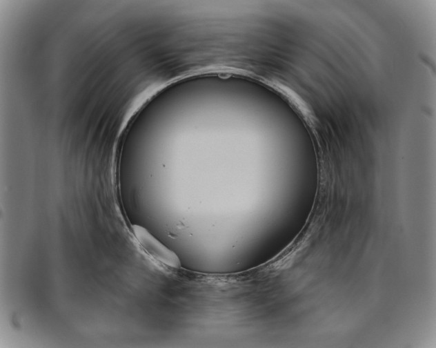 X0000096630910200802191153