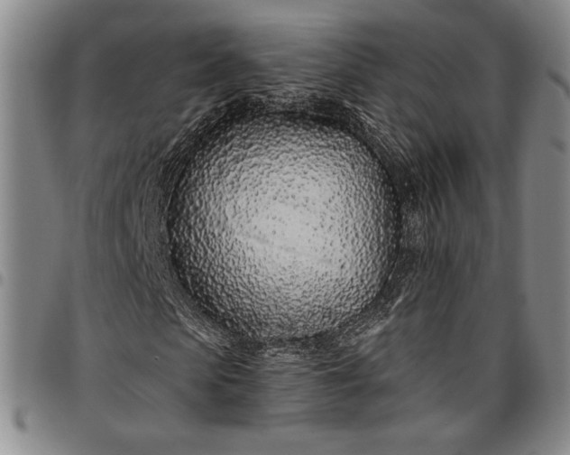 X0000096630913200802191153