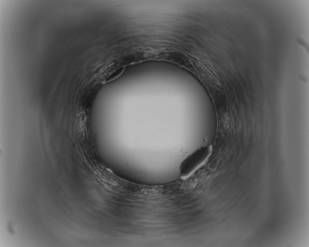 X0000096630914200802191153