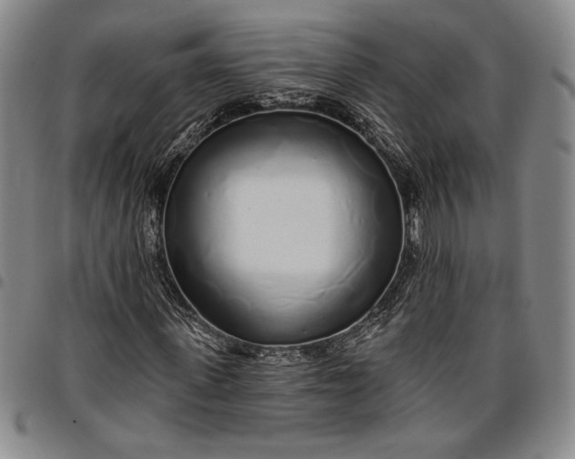 X0000096630915200802191153
