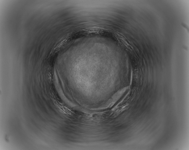 X0000096630916200802191153