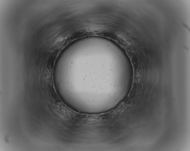 X0000096630917200802191153