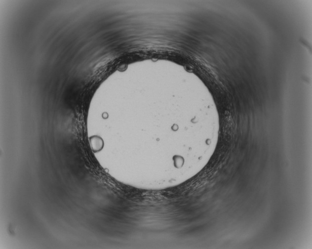 X0000096630918200802191153