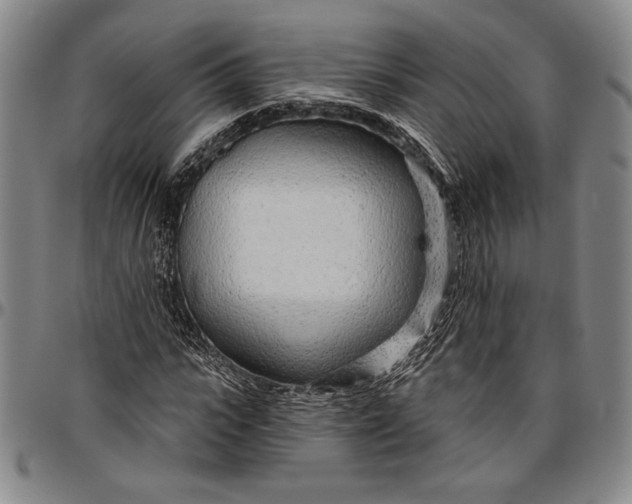 X0000096630919200802191153