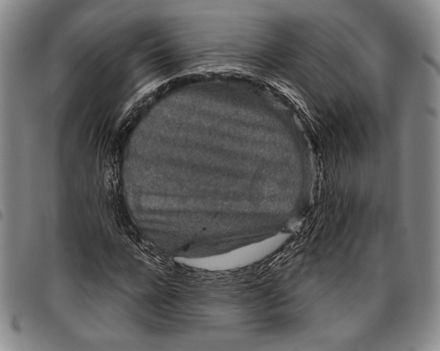 X0000096630920200802191153