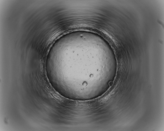 X0000096630921200802191153