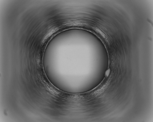 X0000096630922200802191153