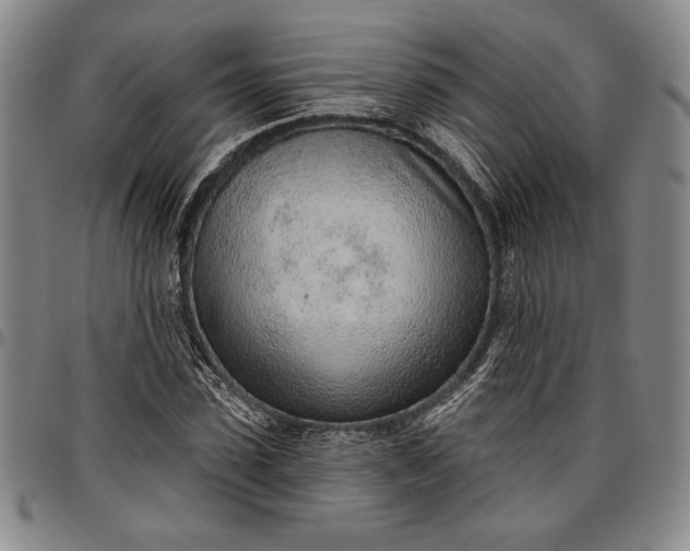 X0000096630923200802191153