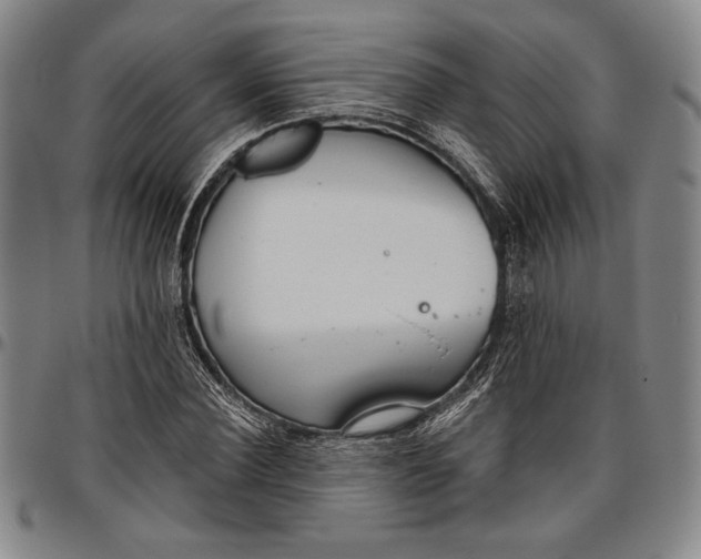 X0000096630924200802191153
