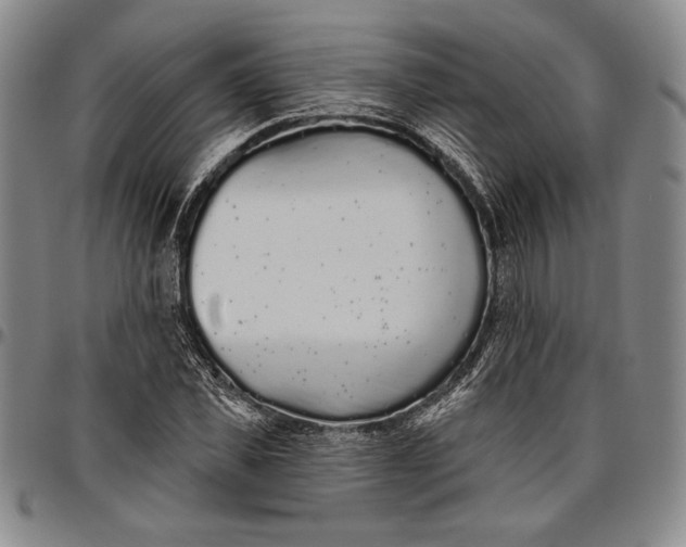 X0000096630925200802191153