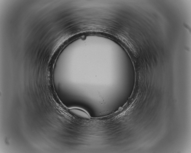 X0000096630926200802191153