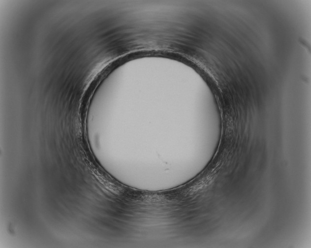 X0000096630927200802191153