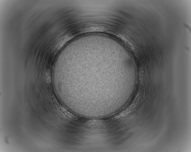 X0000096630929200802191153