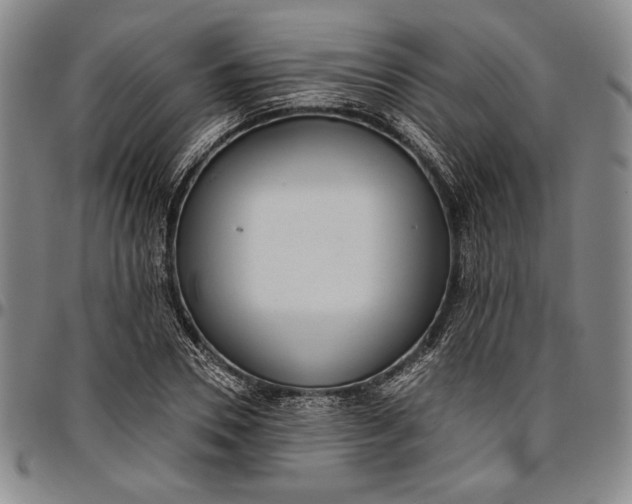 X0000096630930200802191153
