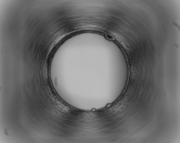 X0000096630931200802191153