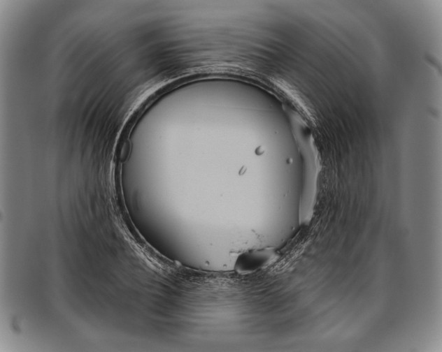 X0000096630932200802191153