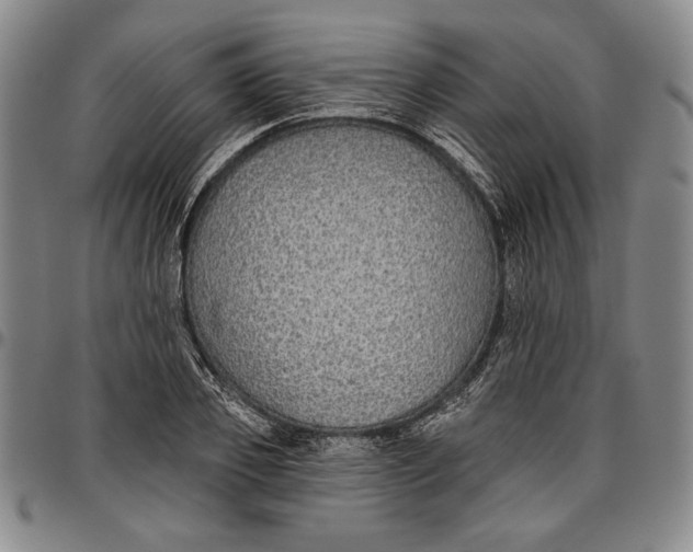 X0000096630933200802191153