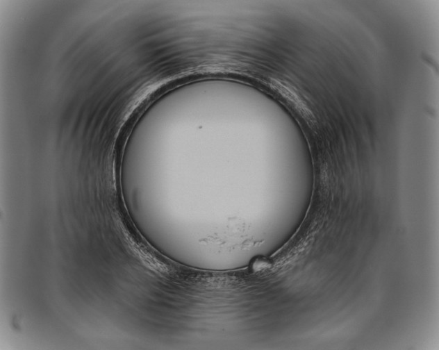 X0000096630934200802191153